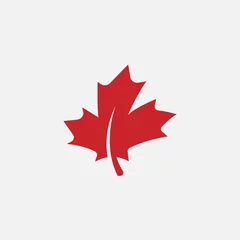 Fotobehang Maple leaf logo template vector icon illustration, Maple leaf vector illustration, Canadian vector symbol, Red maple leaf, Canada symbol, Red Canadian Maple Leaf © kursi_design