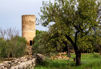 View of Old Windmill with Rich Foliage Around at Alcúdia, Mallorca, Spain 2018 - 304983998