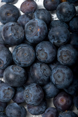 Blueberries, or Blueberries common, or Cherry rootlets