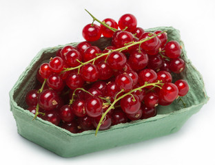 Crimson red, or Crimson plain, or Gardener