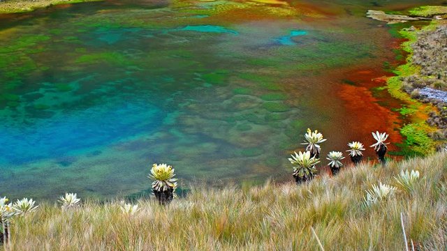 lagunas verdes y frailjones en time lapse, &aacute;rea Andina de Colombia, Ecuador y Venezuela