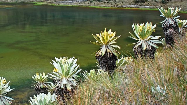 lagunas verdes y frailjones en time lapse, &aacute;rea Andina de Colombia, Ecuador y Venezuela