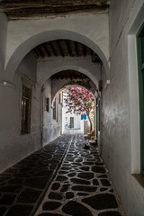 Obraz premium Traditional small alleys at Parikia the port of Paros island, in Cyclades, Greece