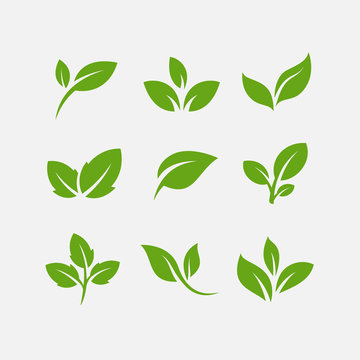 Green leaf ecology nature element vector icon, Leaf Icon, green leaf ecology nature element vector