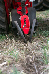 Obraz premium seed application