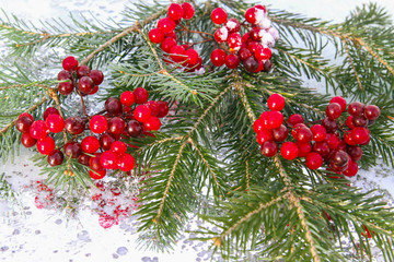Fototapeta na wymiar Christmas fir decoration with red berries isolated on white