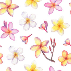 Seamless pattern with tropical flowers plumeria(frangipani). - 304988733