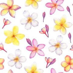 Seamless pattern with tropical flowers plumeria(frangipani). - 304988764
