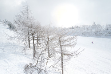 Fototapeta na wymiar snowboading in winter season