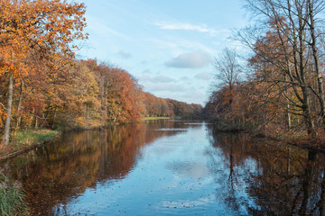 Autumn trees in forest called Haagse Bos in The Hague Netherlands on sunny day with blue sky and water