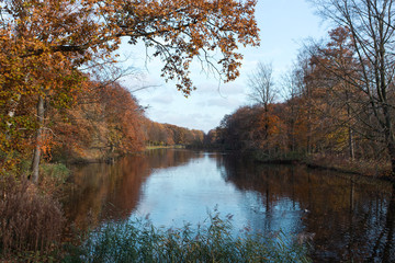Obraz premium Autumn trees in forest called Haagse Bos in The Hague Netherlands on sunny day with blue sky and water