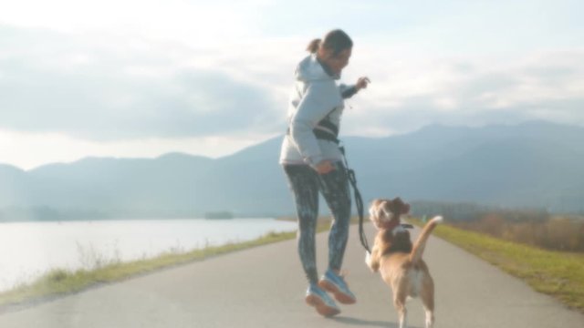 Slow motion of woman running with beagle on leash jumping up waving her hands, teasing beagle. Sports and recreation concept. Domestic animals concept.