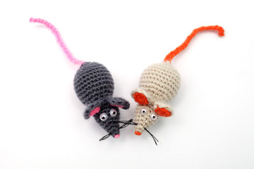 two rats on a white background close-up