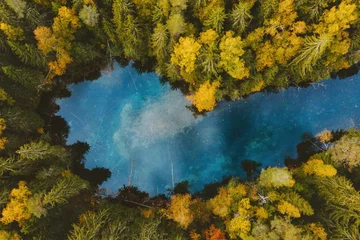 Zelfklevend Fotobehang Herfst bos en blauw meer luchtfoto turquoise water reflectie ingelijst kleurrijke dennenbomen landschap reizen wildernis landschap in Finland verkennen scandinavische natuur van bovenaf top-down © EVERST