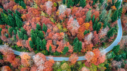 Indian Summer im Berner Mittelland (2019)