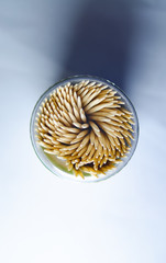 Toothpicks in a jar on a white background. Macro photo. Scattered on the table.