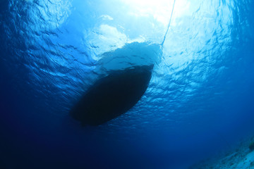 Underwater part of tourist ship
