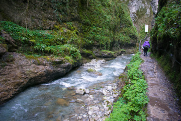 The river Ühaitza in the gorges of Kakueta near Sainte-Engrâce, France