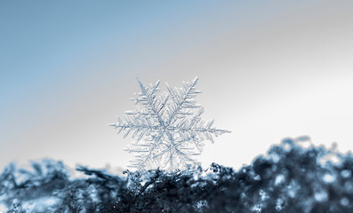 snowflake, little snowflake on the snow