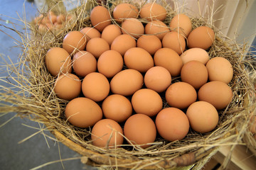 Close up brown chicken eggs pattern texture background on the basket with rice straw