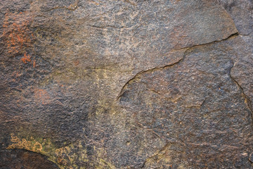 Closeup Stone in the Forest, Stone Texture