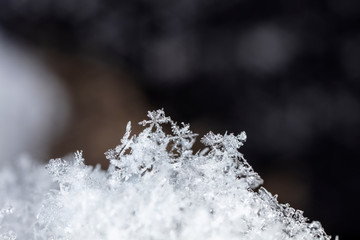 snowflake, little snowflake on the snow