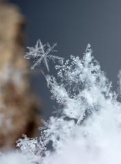 snowflake, little snowflake on the snow