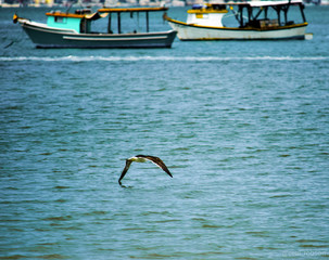 fishing boat in the sea