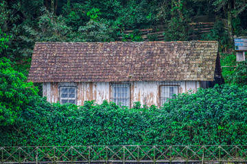 old wooden house in the forest
