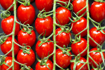 Bunch of colorful and bright  red cherry tomatoes background