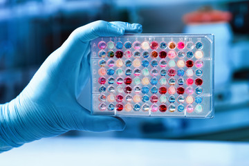 researcher hand holding microplate for analytical research / Scientist holding a 96 well plate with...