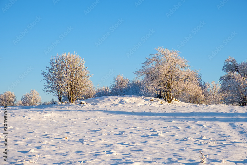 Sticker Frosty trees on a hill in a winter landscape