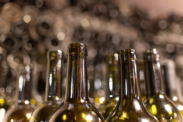 Close-up of empty wine bottles made of dark green glass standing in a cellar. Front view. Selective focus.