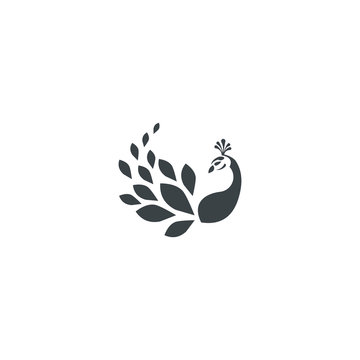 peacock logo vector icon download