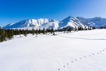 Fototapeta na wymiar Big snow-capped peaks of the Tatra Mountains on a sunny day.