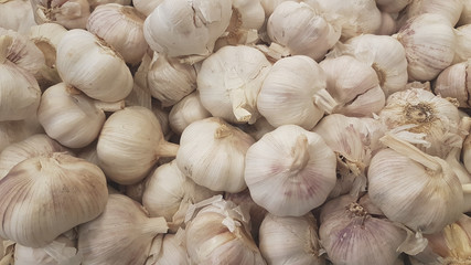  Top view of a bunch of white heads of garlic