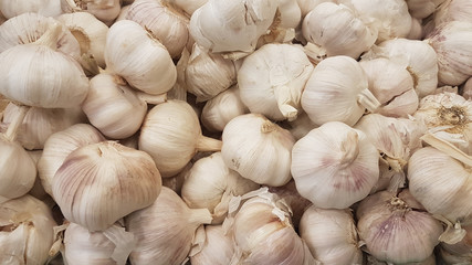  Top view of a bunch of white heads of garlic
