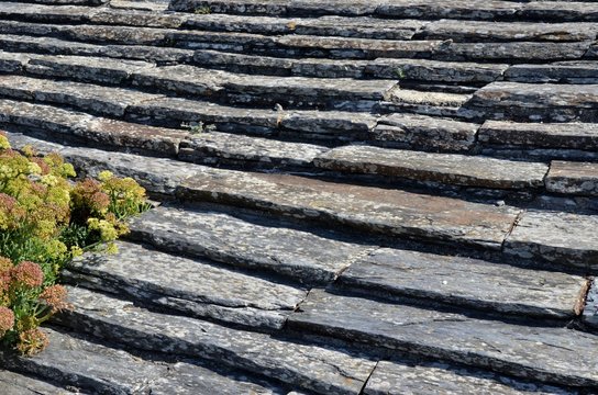 Schist  on the ground (Shiste sur le sol)