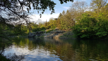 Fototapeta na wymiar beautiful rocky lake dendrological park sofievka