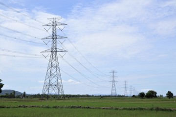 high voltage post landscape with cloud and blue sky in green rice farm field background 