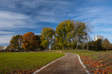Obraz premium road in autumn