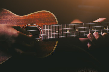 Hands playing acoustic ukulele guitar.Music skills show - obrazy, fototapety, plakaty