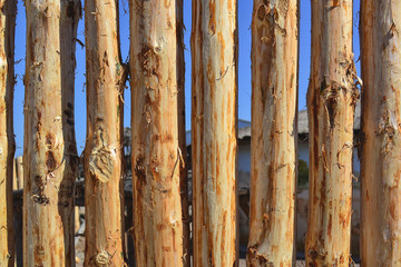 log wooden fence
