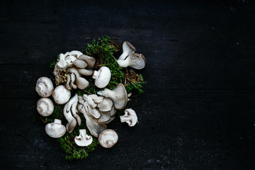 Fototapeta na wymiar Oyster mushrooms lie on a dark wooden table