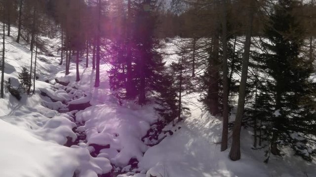 aerial snowy forest creek in sunny day