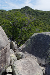 Wyspa Magnetic Island , QLD, Australia