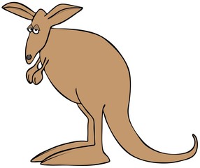Sad brown kangaroo
