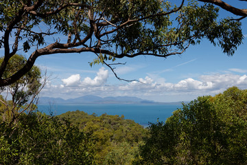 Wyspa Magnetic Island , QLD, Australia