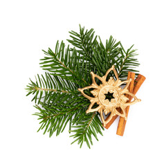 Pine cones and fir tree branch on a white background.