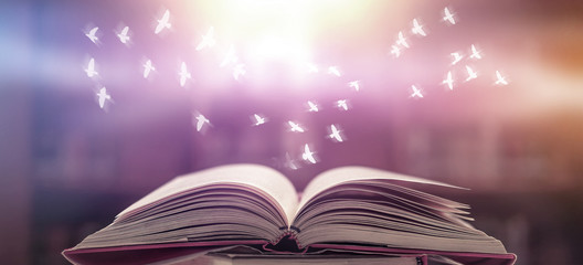  The blurred book that is bewitched with magic, the magic light in the dark, with the bright light shining down as the power to search for knowledge. For research and use as a blurred background